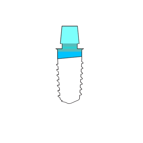 Dental screw illustration
