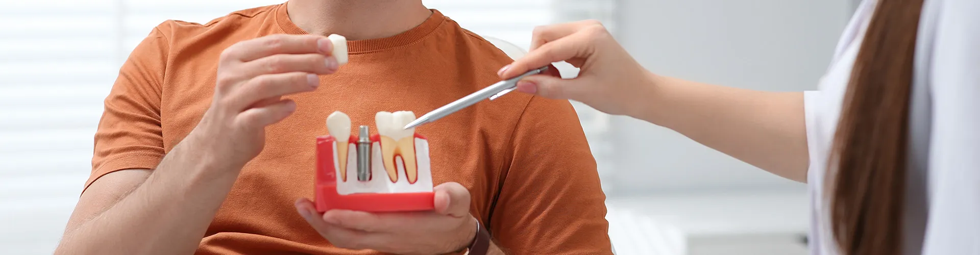 Man holding model of a gum with teeth and a dental implant.