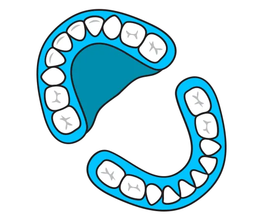Denture vector