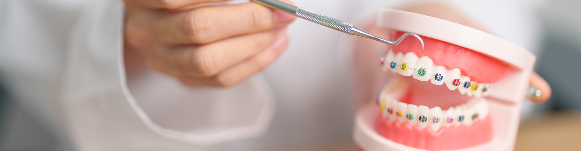 Hands holding tooth model with braces.